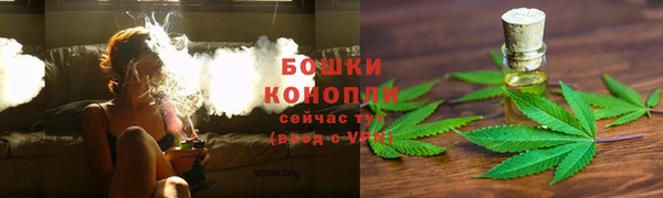 ГАЛЛЮЦИНОГЕННЫЕ ГРИБЫ Куйбышев