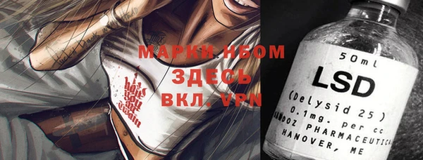 мяу мяу мука Кукмор