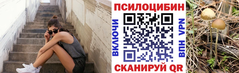 Галлюциногенные грибы Psilocybine cubensis Пионерский