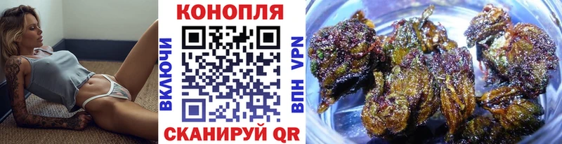 Конопля конопля Купить Пионерский